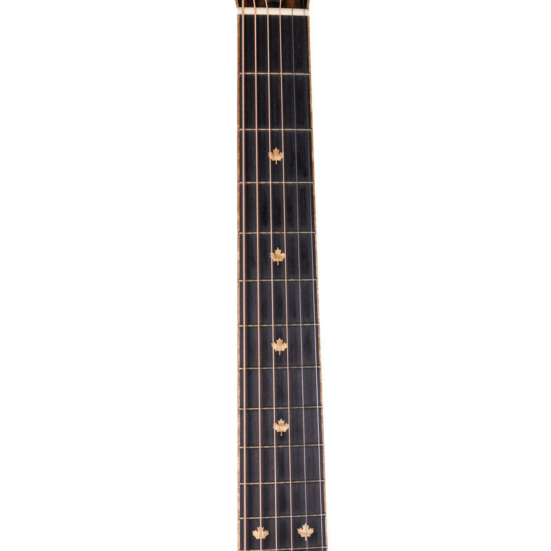 Taylor Custom GA, Sitka Spruce / Big Leaf Maple