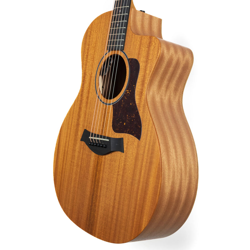 Taylor 24ce