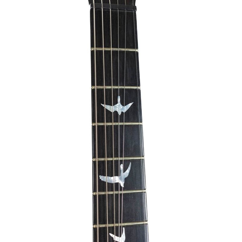 PRS 2010 Private Stock #2811, Ice Mist