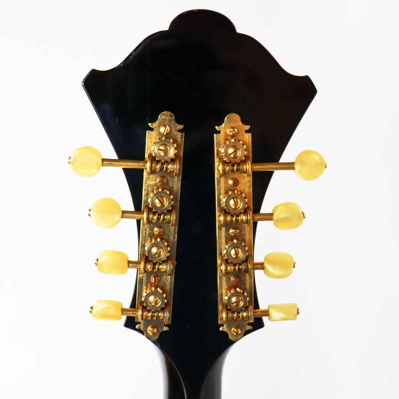 Monteleone 1979 Grand Artist Mandola #40