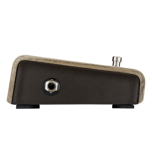 LR Baggs Align Series Active DI Pedal