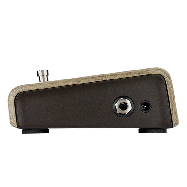 LR Baggs Align Series Active DI Pedal