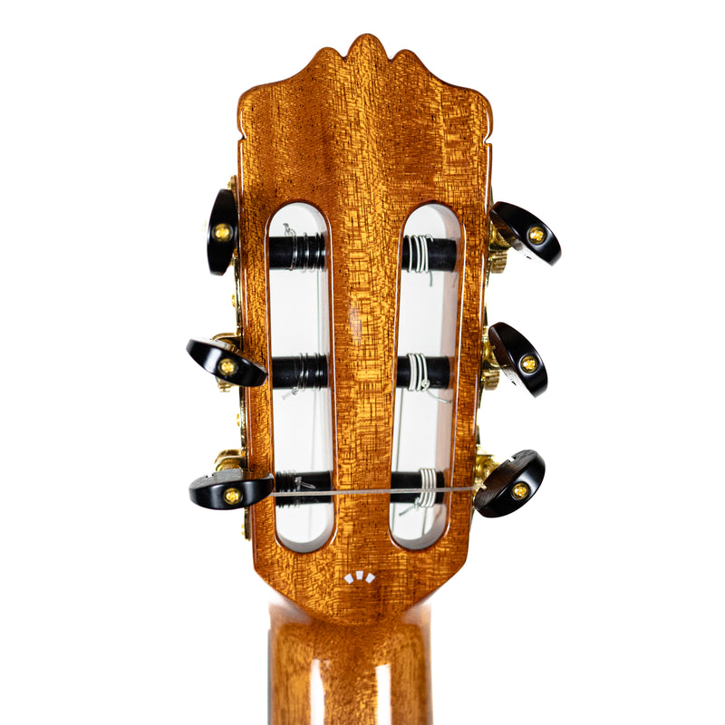 Cordoba C10 CD Cedar Top