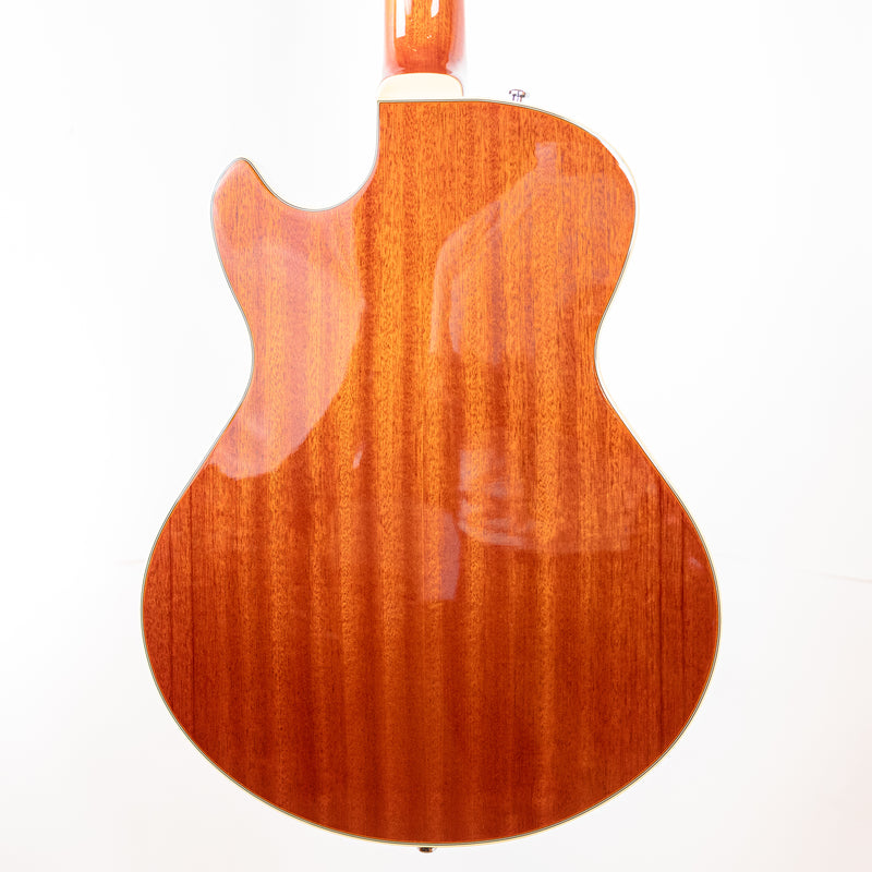 Comins GCS-1 in Autumn Burst