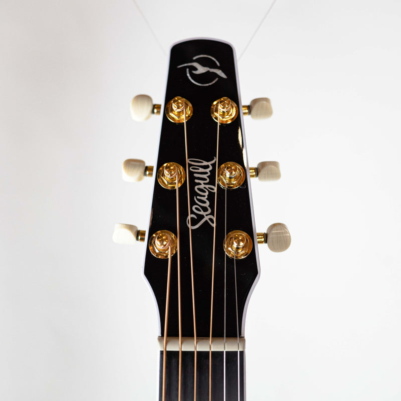 Seagull Artist w/ Mosaic EQ