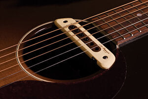LR Baggs M80 Magnetic soundhole pickup with Active/Passive switch and volume control
